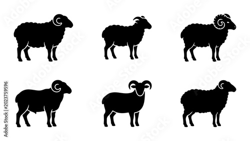 Vászonkép Set of Six Black Sheep Silhouettes, Ram and Ewe Icons, Farm Animal Vector Graphi