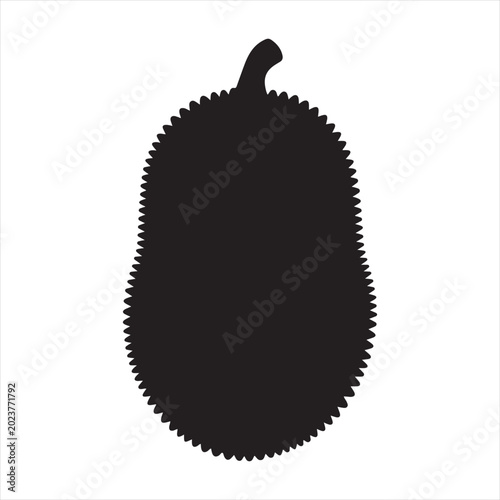 Jackfruit  Vector 