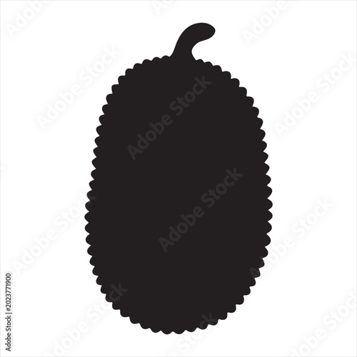 Jackfruit  Vector 
