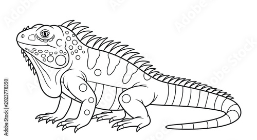 Bilde på lerret Detailed iguana lizard coloring page for adults and kids featuring intricate patterns scales and crest in side profile view of large tropical reptile animal
