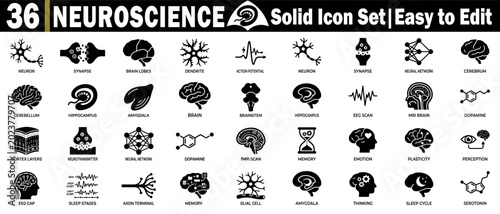 Foto Neuroscience solid icon set