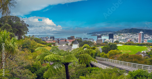 Schilderij op canvas View of the capital city of Wellington, New Zealand, from the Botanic Gardens