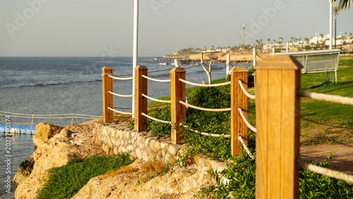 Sunlit wooden fence lines a coastal cliffside