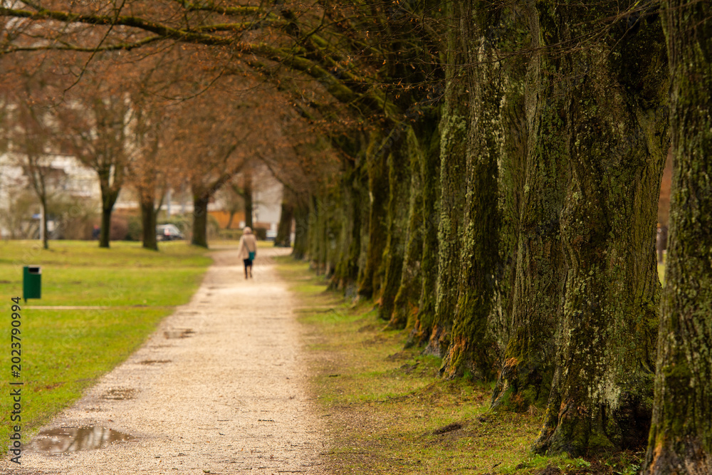 Obraz premium Botanica-Park Allee Bad Schallerbach