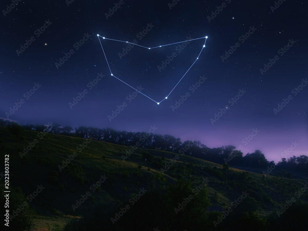 Obraz premium Capricorn constellation in the night sky. Landscape with a cluster of bright stars over the hills. Zodiac sign, astrological image.