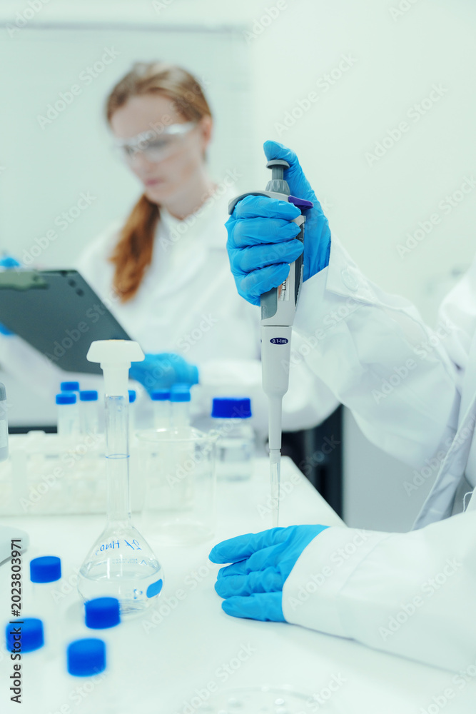 Fototapeta premium Hand wearing blue glove using an automatic pipette to transfer liquid in a modern medical research laboratory with glassware
