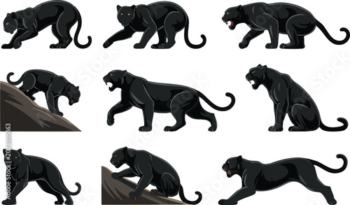 Canvas Print Set of wild black panthers in various action poses including walking stalking climbing and roaring on transparent background