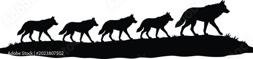 Quadro em tela Wolf pack silhouette on hill against white background