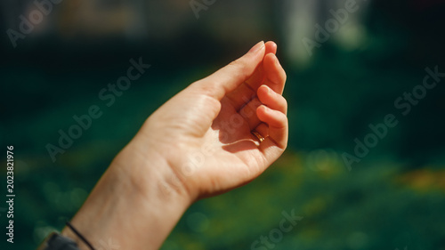 woman's hand in the sun in garden