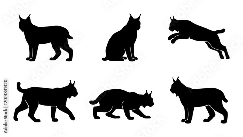 Photography Lynx Silhouettes Collection: Wild Cat Poses, Vector Graphics for Nature and Wild