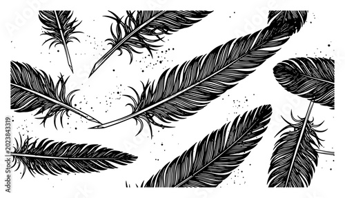 Obraz na płótnie Bird feathers with ink spatters and detailed etching in vintage engraving style