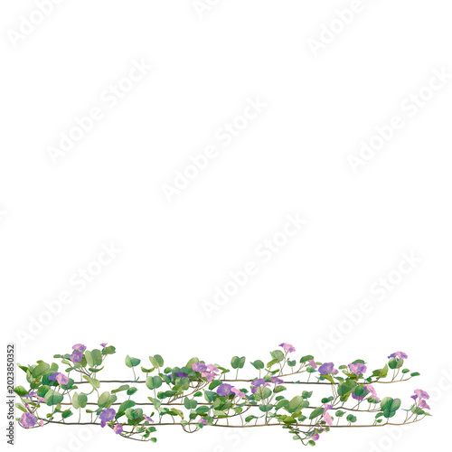 Φωτογραφία Ipomoea pes Caprae tree, elevation, front view, cutout, transparent background, isolate, Delicate pink flower vine, organic texture, natural beauty, floral design elements, botanical illustration