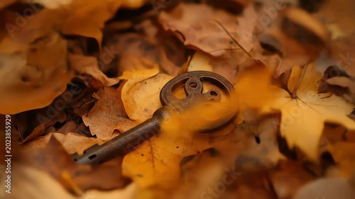 Vintage key resting amongst autumn leaves close up abstract