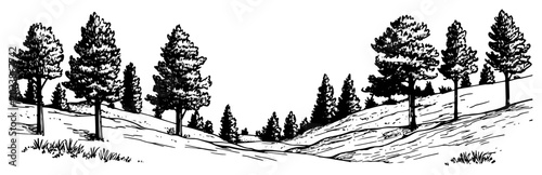 Foto Pine tree forest on a hill vector sketch Hand drawn nature landscape with conife