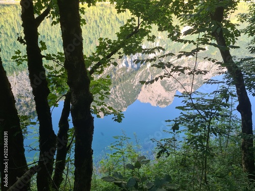 lake in the forest, near the mountains