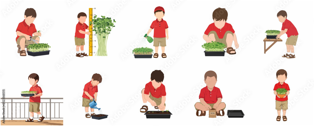 Fototapeta premium Boy Gardening and Growing Microgreens Set, Planting Seeds, Watering, Measuring, and Harvesting Healthy Sprouts Vector Illustration