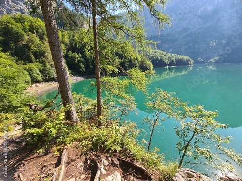 lake in the forest, near the mountains