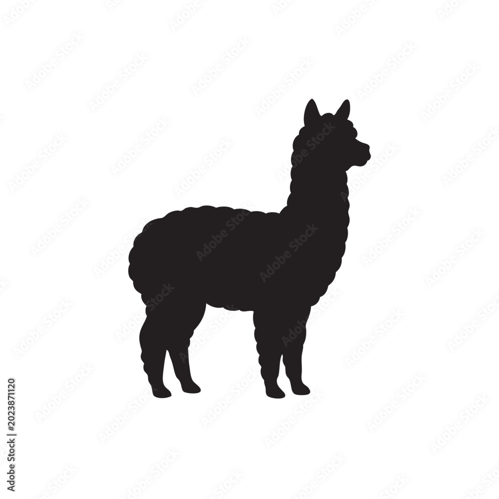 Fototapeta premium silhouette of alpaca, black and white