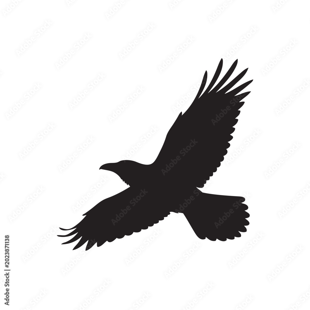 Fototapeta premium flying raven in the sky, black and white