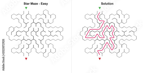 Canvas-taulu Star shaped hex maze and solution in flat line style, black white and pink color