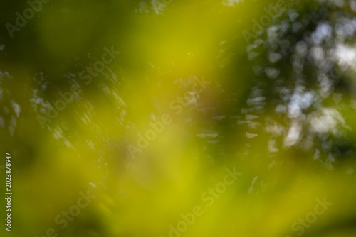 Abstract sunlit green foliage with blurred leaves and soft bokeh, dreamy natural background, defocused garden texture