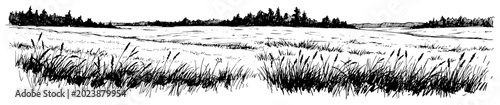 Foto Grassy meadow field with tall reeds and forest horizon in a vintage sketch style