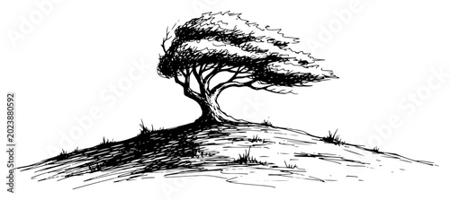 Canvastavla Windswept tree leaning on a grassy hill top sketch style