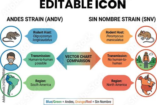 Quadro em tela Hantavirus strains comparison andes andv vs sin nombre snv vector chart isolated