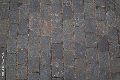 Photography Stone paving stones on a street in Moscow. Background.