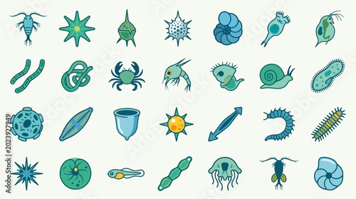 Vector Icons Set of hand drawn marine microorganisms and plankton icons. EPS Editable