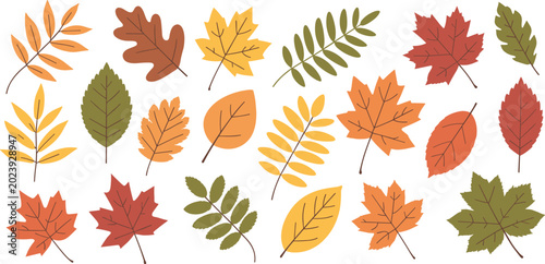 Foto Autumn Leaves Collection in Warm Colors vector illustration