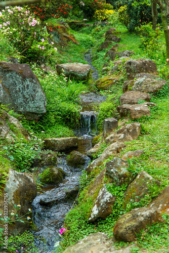 Garden Stream
