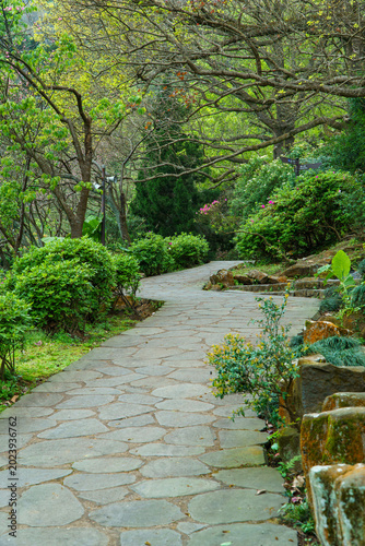 Path in the Park