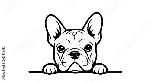 Photos French Bulldog Head Peeking Over Edge, Minimalist Line Art Vector
