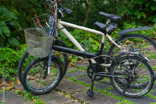 Random Bicycle
