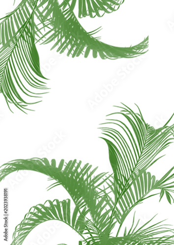 Illustration of green palm leaves on a white background in a minimalist style with a natural and serene mood.
