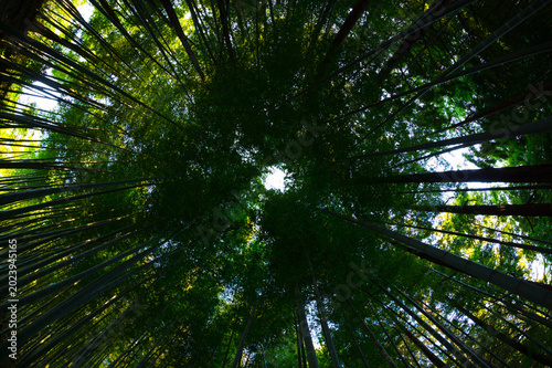 Photos 囲まれる