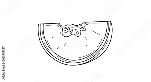 Foto Hand-drawn slice of citrus fruit, sketch style, isolated on white background