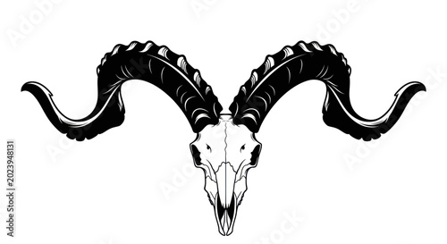 Fotografie Ram Skull Silhouette, Gothic Horns, Black and White Vector Art