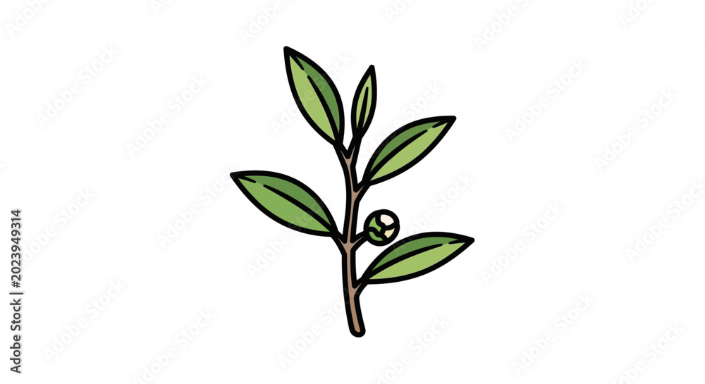 Fototapeta premium Small green plant with leaves sprouting.