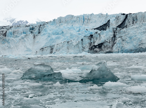 Harvard Glacier, Alaska