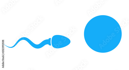 Tableau sur toile Sperm cell approaching egg cell, conception concept, reproduction, fertility, bi