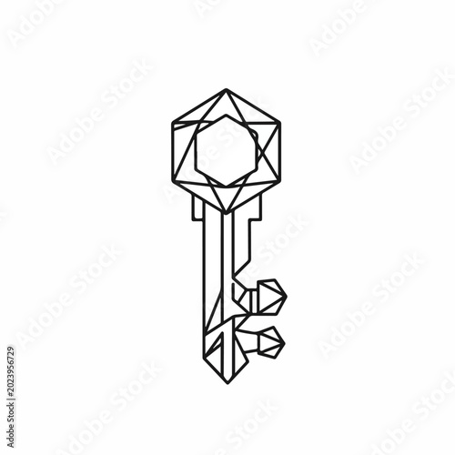 Geometric Key with Polygonal Head and Shaped Bit