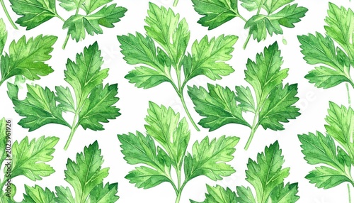Watercolor illustration of fresh green parsley leaves, perfect for culinary and herbal themes.