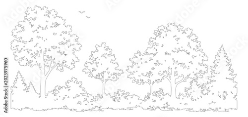 фотографія Minimalist forest line art vector, hand drawn woodland landscape outline, black