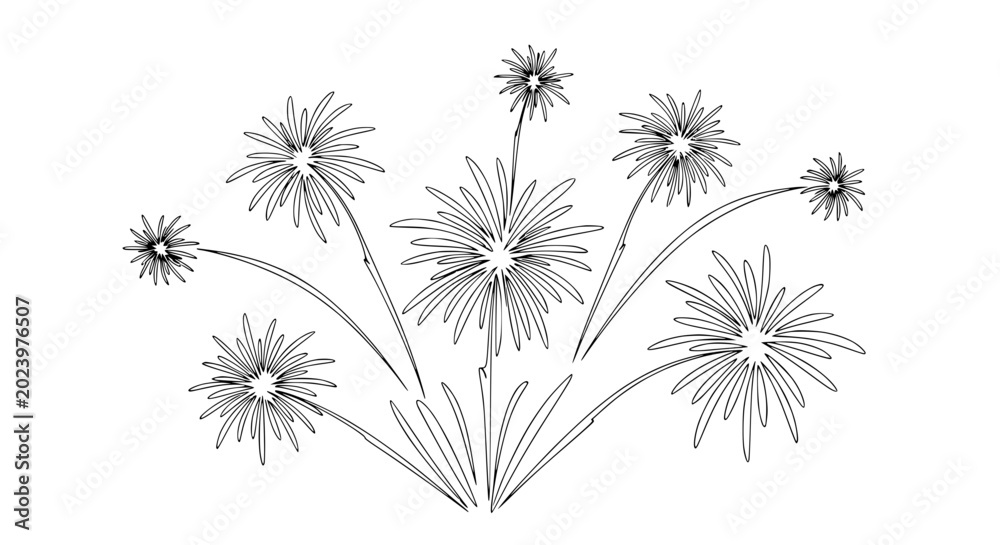 Obraz premium Black and White Firework Explosion Illustration