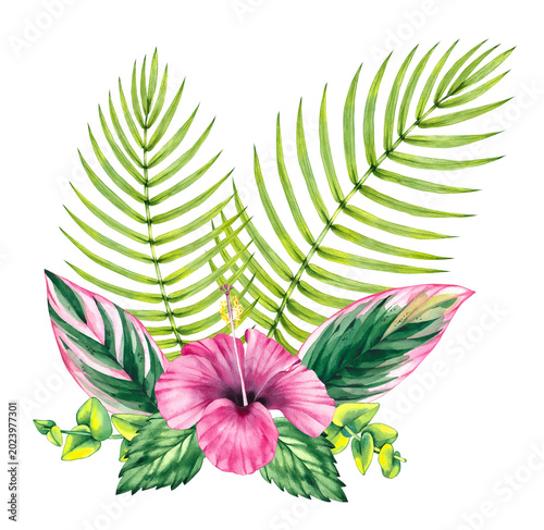 Tropical bouquet with hibiscus flowers. Botanical bouquet of summer tropical flowers for design cards, invitations and branding. Tropical plant hibiscus
