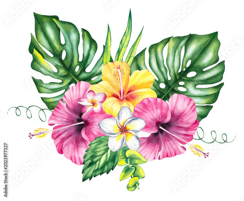 Tropical bouquet with hibiscus flowers. Botanical bouquet of summer tropical flowers for design cards, invitations and branding. Tropical plant hibiscus