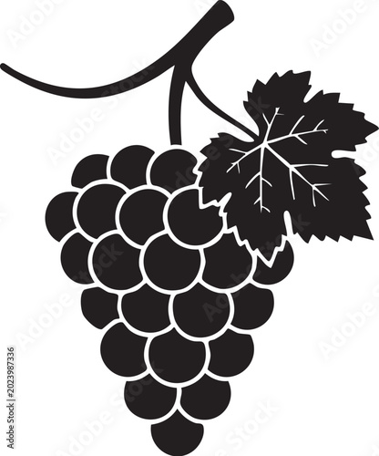 Konstfotografi bunch of grapes vector