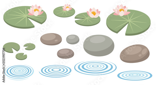 Photography Zen Garden Elements: Water Lilies, Stones, Ripples - Vector Illustration